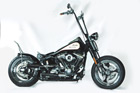 Harley-Davidson Softail Umbau - White Angel