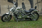 Harley-Davidson V-Rod Umbau - V-Rod 240 Chrome